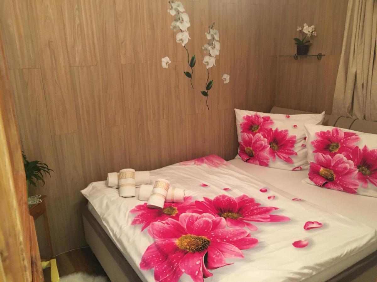 Apartment Hlinska Чешка Будьовица Екстериор снимка